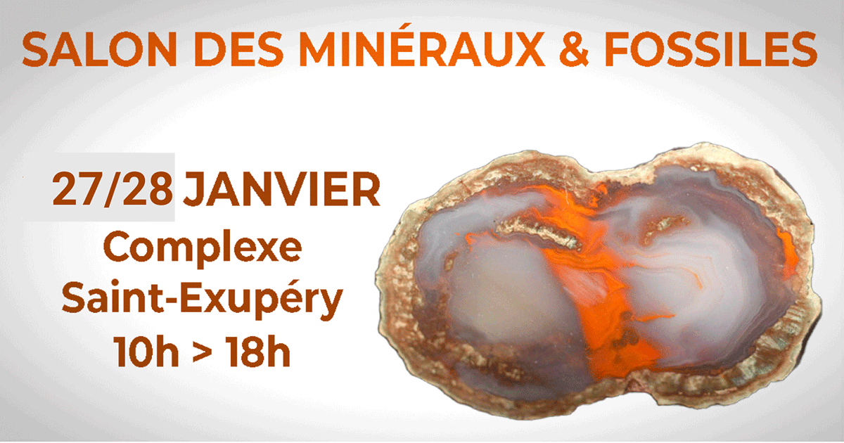 salon-mineraux-generique-draguignan