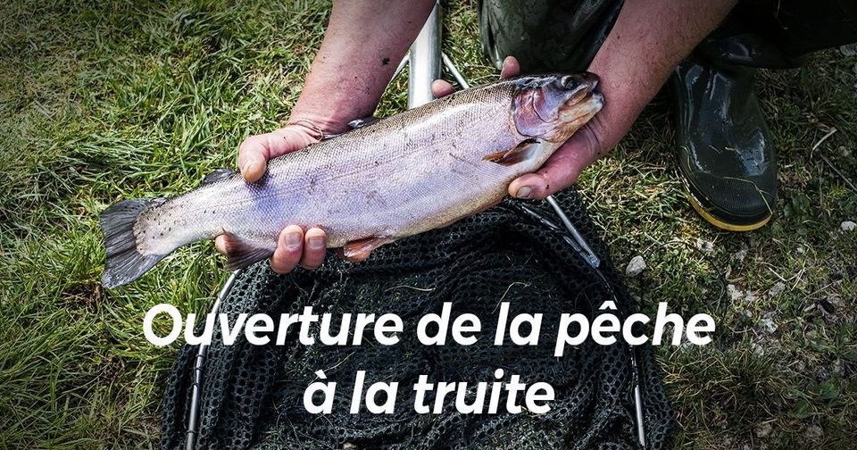 Ouverture de la pêche à la truite