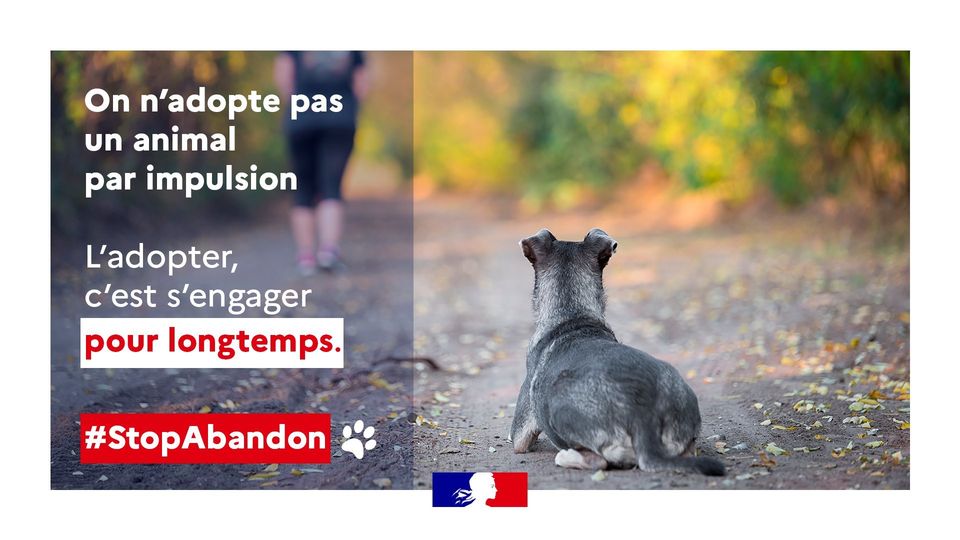 abandon-animaux-prefet-draguignan