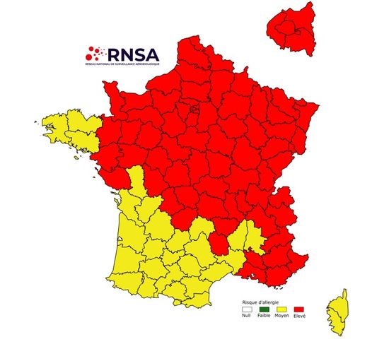 pollens-allergies-prefet-var-avril-2024