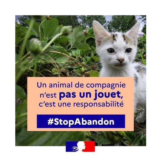 stop-abandon-prefet-var-2024