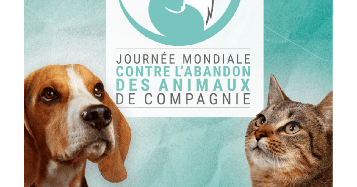 journee-mondiale-abandon-animaux-2024-solidarite-peuple-animal