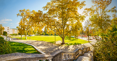 vignette-parc-haussman-draguignan